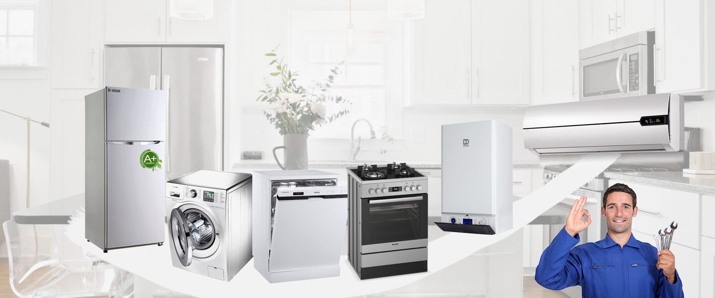 İzkent Electrolux Servisi